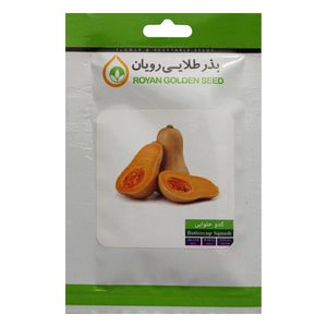 بذر کدو حلوایی بذر طلایی رویان مدل bztr 069