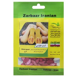 بذر کدو حلوایی زر بذر ایرانیان کد zbp 36