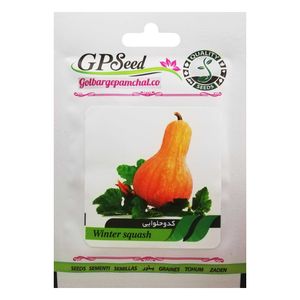 بذر کدو حلوایی گلبرگ پامچال کد gpf 124