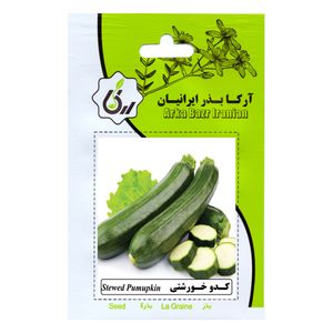 بذر کدو خورشتی آرکا بذر ایرانیان کد ark 119