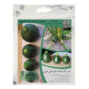 بذر کدو دلمه خورشتی توپی مدل gl5