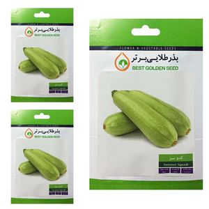 بذر کدو سبز بذر طلایی برتر کد btb 67 مجموعه 3 عددی
