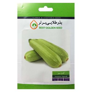 بذر کدو سبز بذر طلایی برتر کد bzt 67