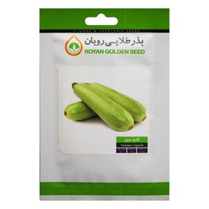 بذر کدو سبز بذر طلایی رویان مدل bztr 067