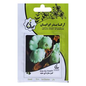 بذر کدو ستاره ای سفید آرکا بذر ایرانیان کد ark 148