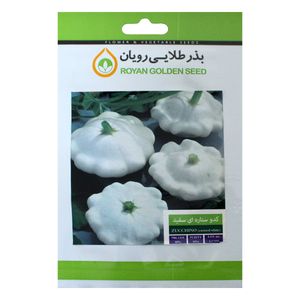 بذر کدو ستاره ای سفید بذر طلایی رویان کد bzt 138