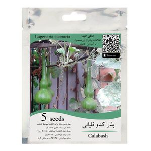 بذر کدو قلیانی مدل gl5
