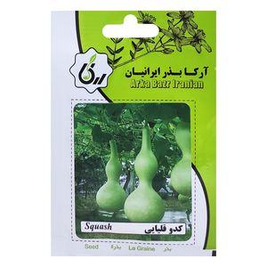 بذر کدو قلیایی آرکا بذر ایرانیان کد ark 144