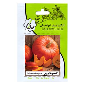 بذر کدو هالووین آرکا بذر ایرانیان کد ark 125