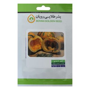 بذر کدو کاغذی بذر طلایی رویان مدل bztr 070