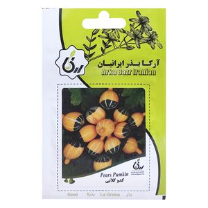 بذر کدو گلابی آرکا بذر ایرانیان کد ark 169