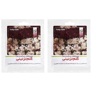 بذر کلم تزیینی گرین فارم کد lmn 1 بسته 2 عددی