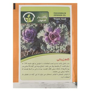 بذر کلم زینتی پاکان بذر