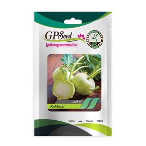 بذر کلم قمری گلبرگ پامچال کد gpf 128