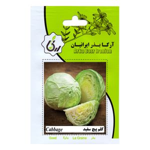 بذر کلم پیچ سفید آرکا بذر ایرانیان کد ark 130