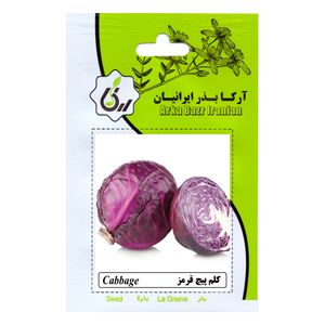 بذر کلم پیچ قرمز آرکا بذر ایرانیان کد ark 152
