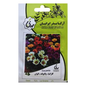 بذر گازانیا پاکوتاه الوان آرکا بذر ایرانیان کد ark 016