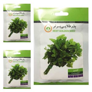 بذر گشنیز بذر طلایی برتر کد btb 98 مجموعه 3 عددی