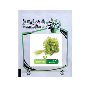 بذر گشنیز فصل سبز کد seed 100 11