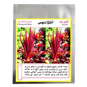 بذر گل آشلانتوس تالین بذر مدل bzt 1013