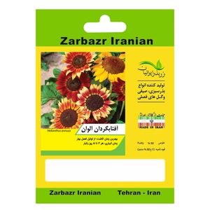 بذر گل آفتابگردان الوان زربذر ایرانیان کد zbp 62