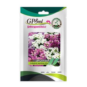 بذر گل آلیسوم گلبرگ پامچال کد gpf 008