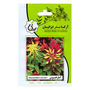بذر گل آمارانتوس آرکا بذر ایرانیان کد 92 ark