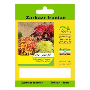 بذر گل آمارانتوس الوان زربذر ایرانیان کد zbp 63
