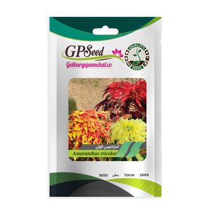بذر گل آمارانتوس گلبرگ پامچال کد gpf 010