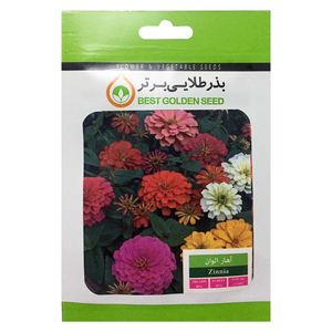 بذر گل آهار الوان بذر طلایی برتر کد bzt 03