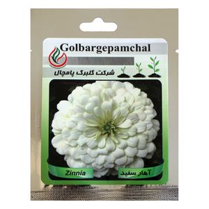 بذر گل آهار سفید گلبرگ پامچال کد gpf 002