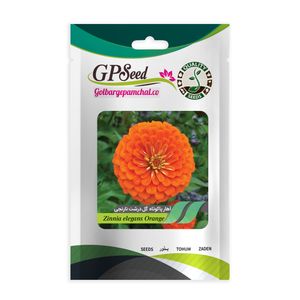 بذر گل آهار گل درشت نارنجی گلبرگ پامچال کد gpf 234