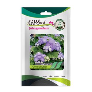 بذر گل ابری آبی پاکوتاه گلدانی گلبرگ پامچال کد gpf 290
