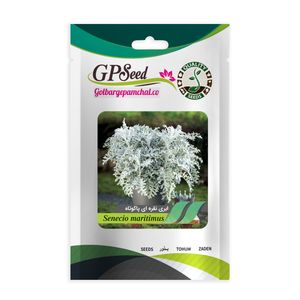 بذر گل ابری نقره ای گلدانی گلبرگ پامچال کد gpf 292