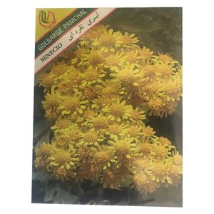 بذر گل ابری نقره ایی گلبرگ پامچال مدل gp02