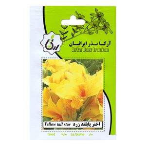 بذر گل اختر پابلند زرد آرکا بذر ایرانیان کد 63 ark