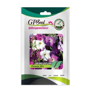 بذر گل اطلسی ایرانی بسیار پر گل معطر الوان گلبرگ پامچال کد gpf 018