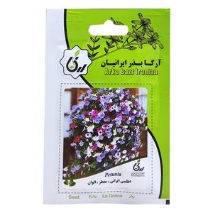 بذر گل اطلسی ایرانی معطر الوان آرکا بذر ایرانیان کد ark 103