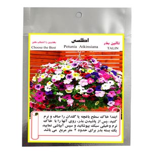 بذر گل اطلسی تالین بذر مدل bzt 1012