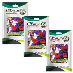 بذر گل اطلسی گل درشت پرگل الوان گلبرگ پامچال کد gpf 019 مجموعه 3 عددی