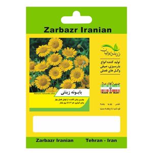بذر گل بابونه زینتی زربذر ایرانیان کد zbp 67