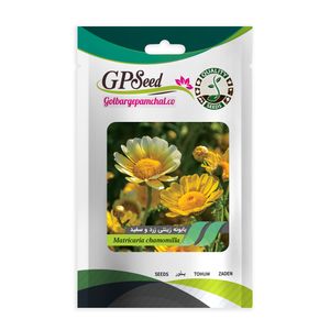 بذر گل بابونه زینتی زرد و سفید گلبرگ پامچال کد gpf 235