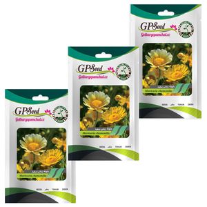 بذر گل بابونه زینتی سفید گلبرگ پامچال کد gpf 235 مجموعه 3 عددی