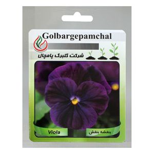 بذر گل بنفشه بنفش گلبرگ پامچال کد gpf 026