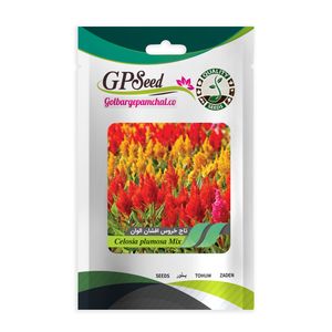 بذر گل تاج خروس افشان گلبرگ پامچال کد gpf 033