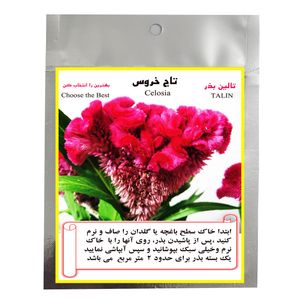 بذر گل تاج خروس تالین بذر مدل bzt 1007