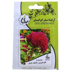 بذر گل تاج خروس پابلند قرمز آرکا بذر ایرانیان کد ark 100