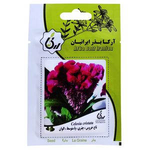 بذر گل تاج خروس چتری پامتوسط الوان آرکا بذر ایرانیان کد ark 081