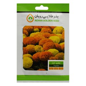 بذر گل جعفری الوان بذر طلایی رویان کد bztr 013