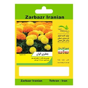بذر گل جعفری الوان زربذر ایرانیان کد zbp 76